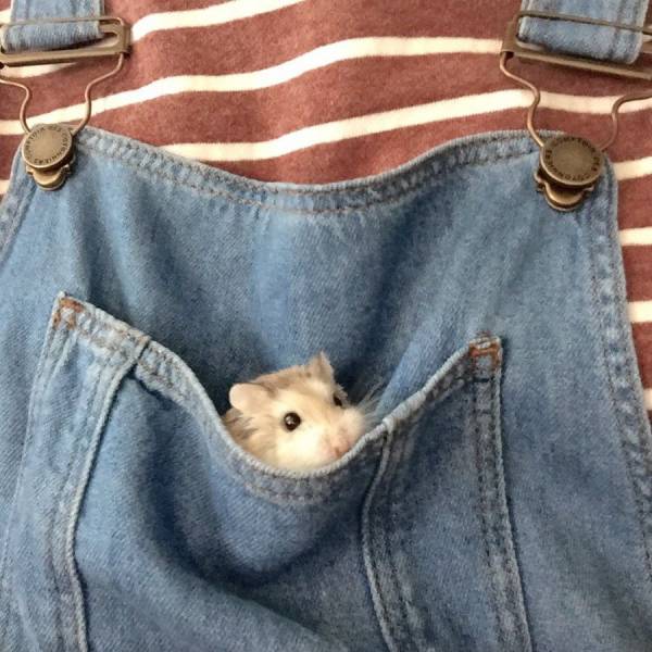 Acid Picdump (91 pics)