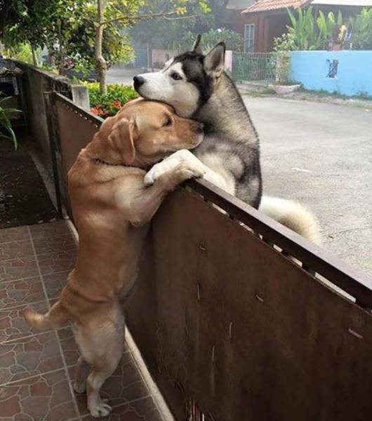 Acid Picdump (91 pics)