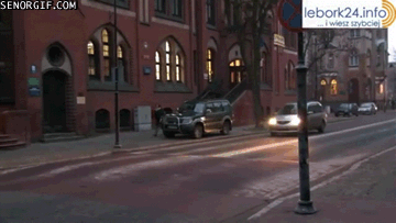 Acid Gifdump, October 23, 2017 (25 gifs)