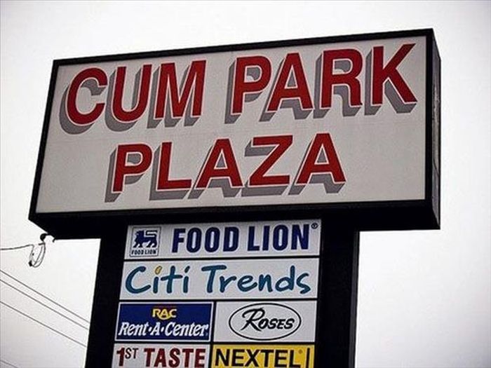 Funny Business Names (25 pics)