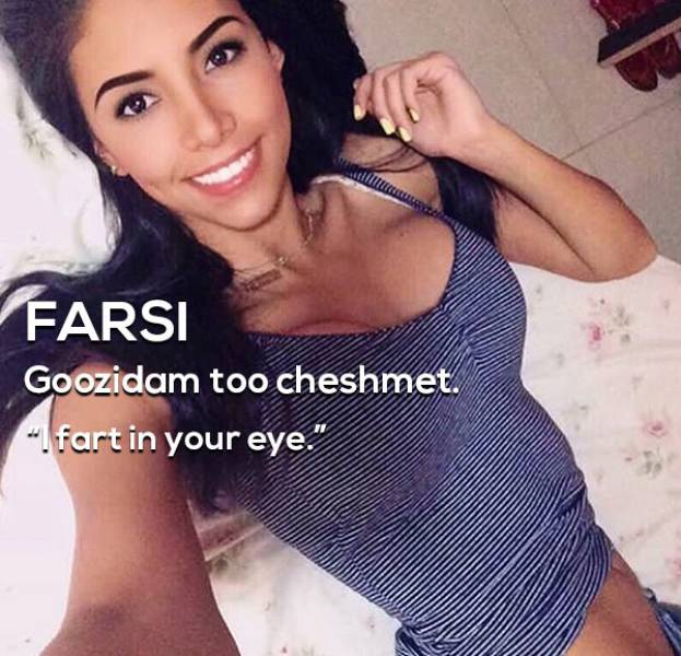 Hot Girls And Insults From All Around The World (15 pics)