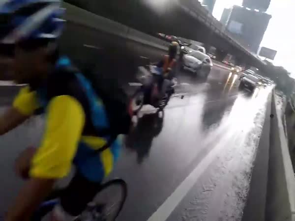 Biker Saves Kitten From Certain Death On Busy Road