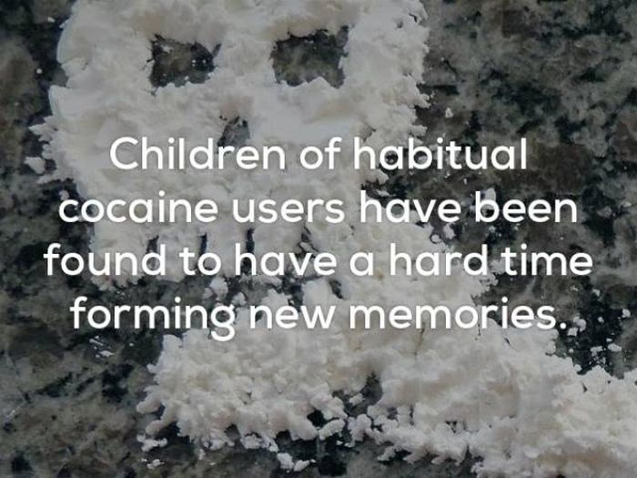 Creepy Facts (22 pics)