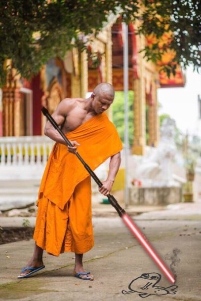 Shaolin Monk Got Photoshopped (15 pics)