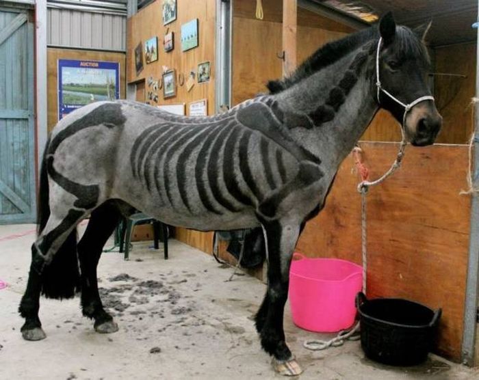 Acid Picdump (107 pics)