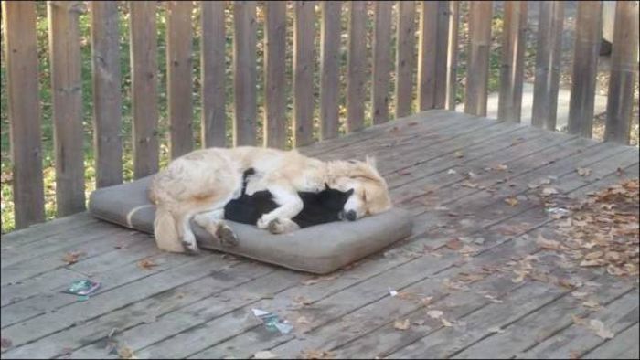 Acid Picdump (107 pics)