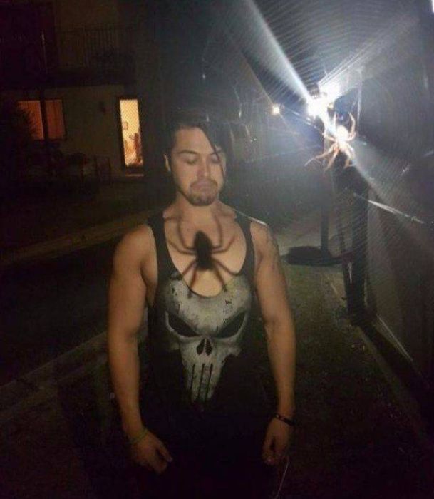 Acid Picdump (107 pics)