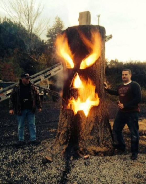 Acid Picdump (107 pics)
