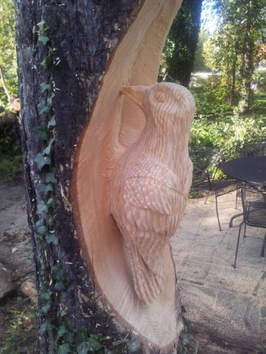 Acid Picdump (107 pics)