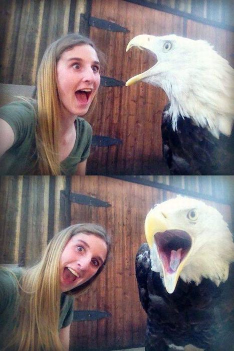 Acid Picdump (107 pics)