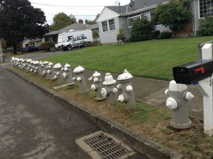 Acid Picdump (107 pics)
