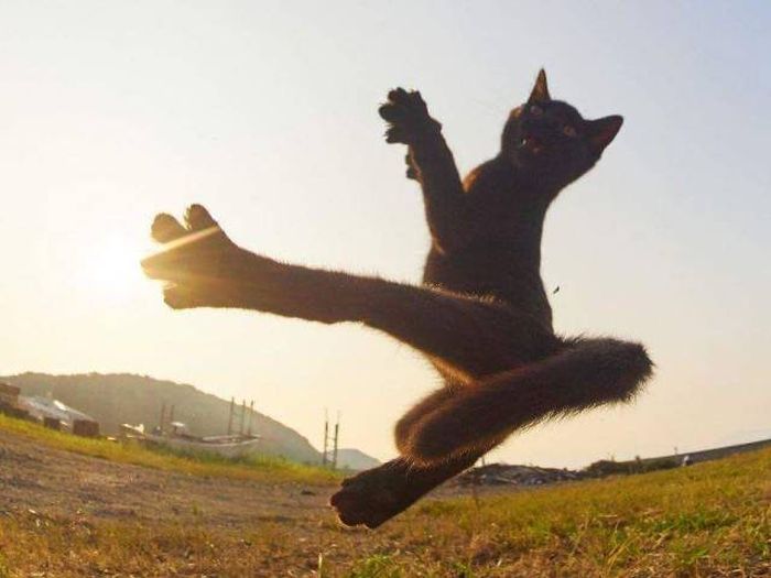 Acid Picdump (107 pics)