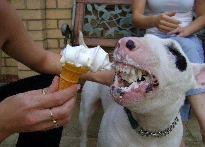 Acid Picdump (107 pics)
