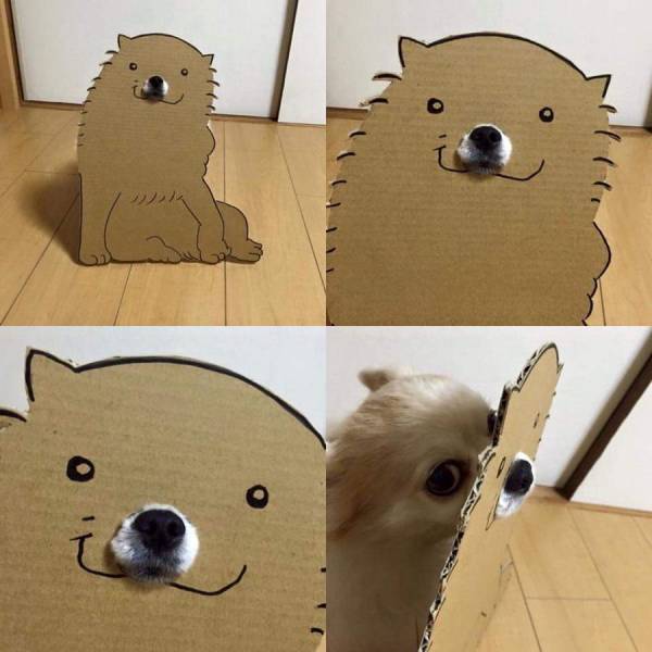 Acid Picdump (107 pics)