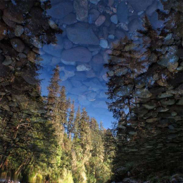 Acid Picdump (107 pics)