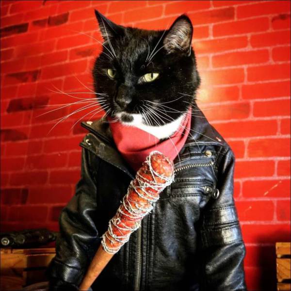 Acid Picdump (107 pics)