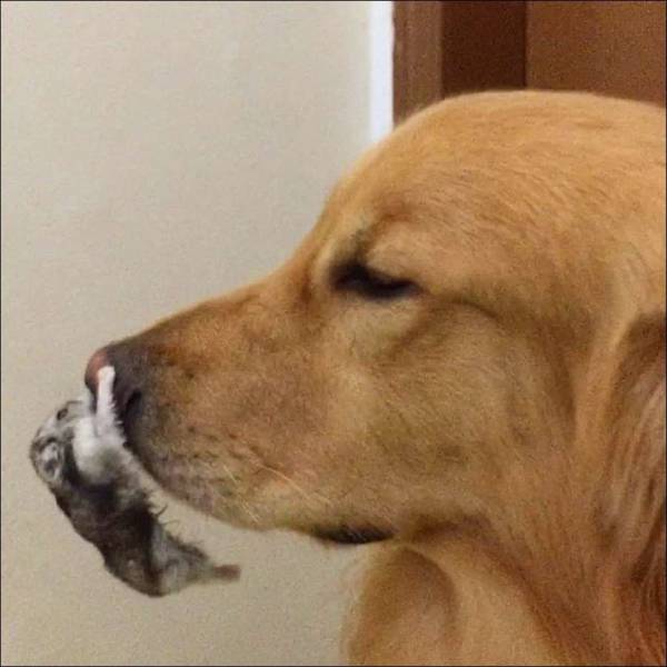 Acid Picdump (107 pics)