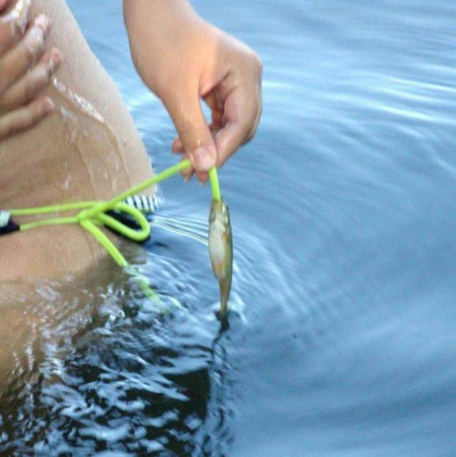 Acid Picdump (107 pics)