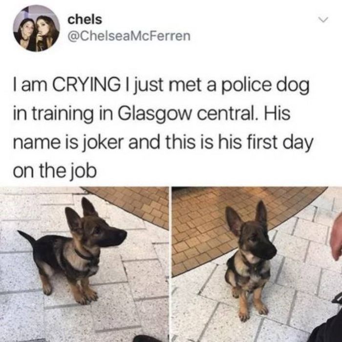Everybody Needs To Smile (19 pics)
