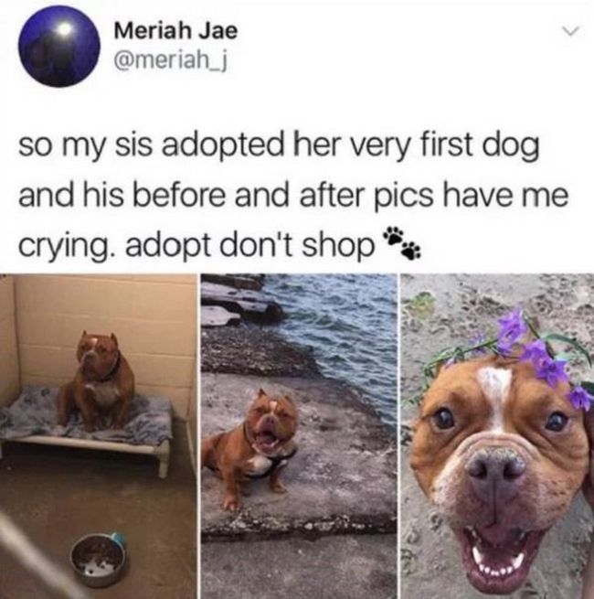 Everybody Needs To Smile (19 pics)