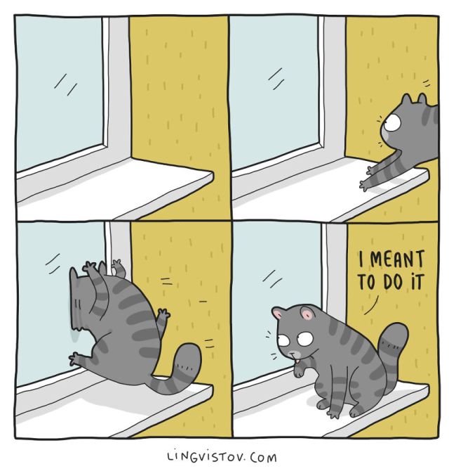 What It’s Like To Live With A Cat (17 pics)