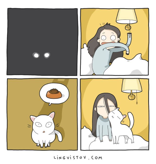What It’s Like To Live With A Cat (17 pics)