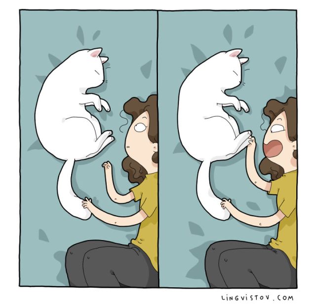 What It’s Like To Live With A Cat (17 pics)