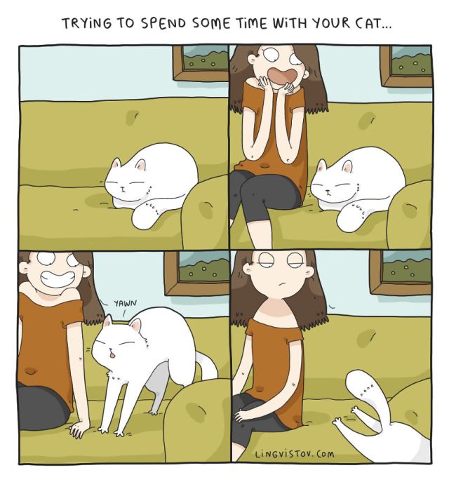 What It’s Like To Live With A Cat (17 pics)