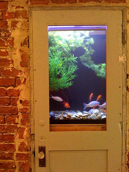 Cool Aquariums (32 pics)