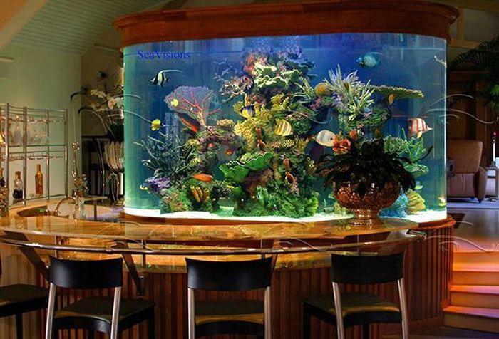 Cool Aquariums (32 pics)