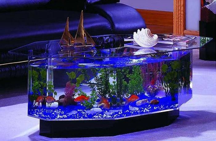 Cool Aquariums 32 Pics 