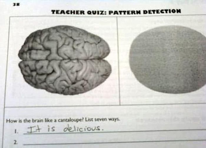 Funny And Brilliant Answers (20 pics)