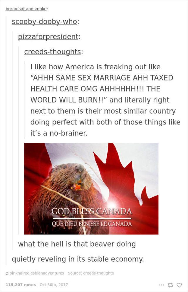 Canada Never Gets Enough Of Roasting USA (20 pics)