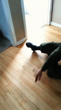 Dogs Greeting Soldiers Back From Deployment (14 gifs)