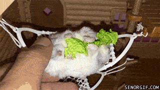 Acid Gifdump, November 02, 2017 (25 gifs)