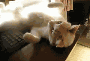 Acid Gifdump, November 02, 2017 (25 gifs)