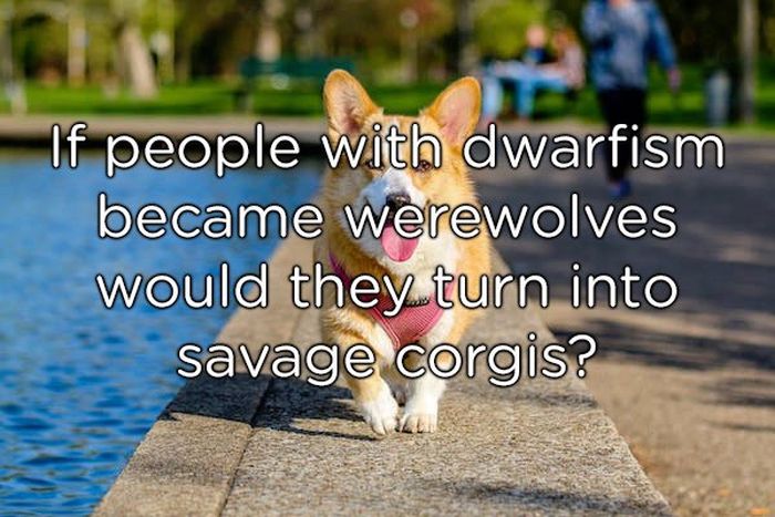 Shower Thoughts (20 pics)