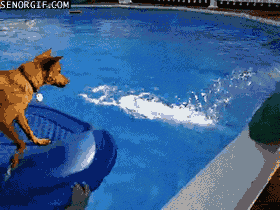 Acid Gifdump, November 06, 2017 (25 gifs)