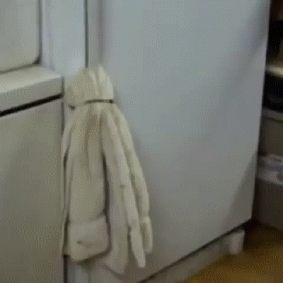 Acid Gifdump, November 06, 2017 (25 gifs)