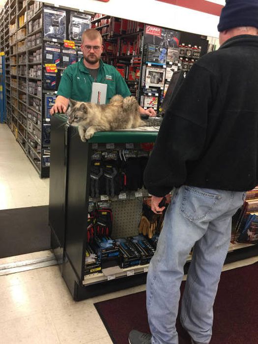 Acid Picdump (91 pics)