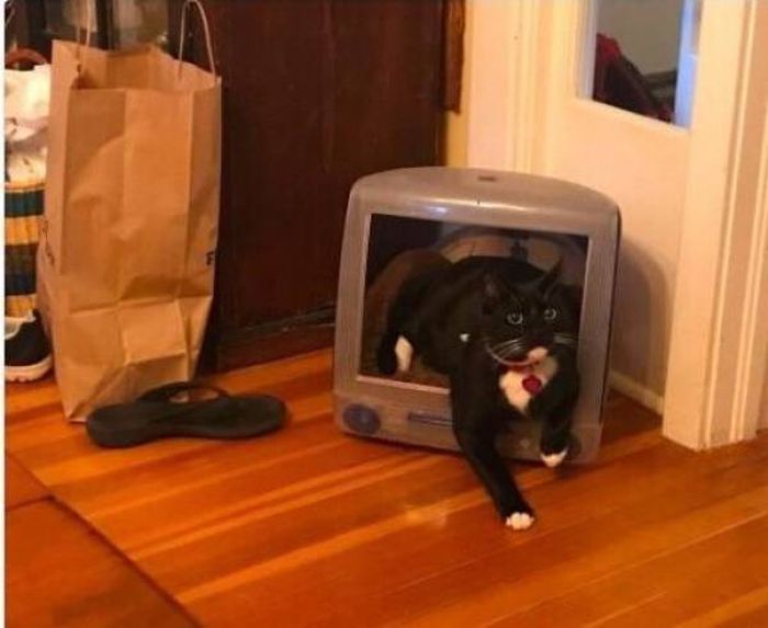Acid Picdump (91 pics)