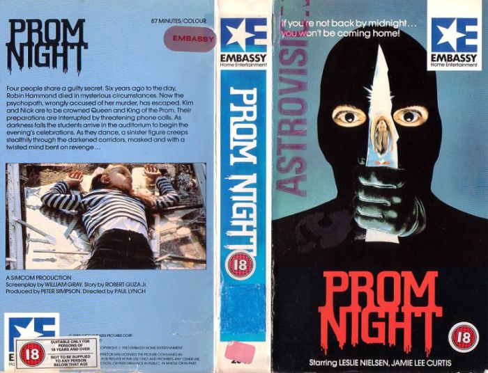 VHS Covers Of Horror Movies (30 pics)