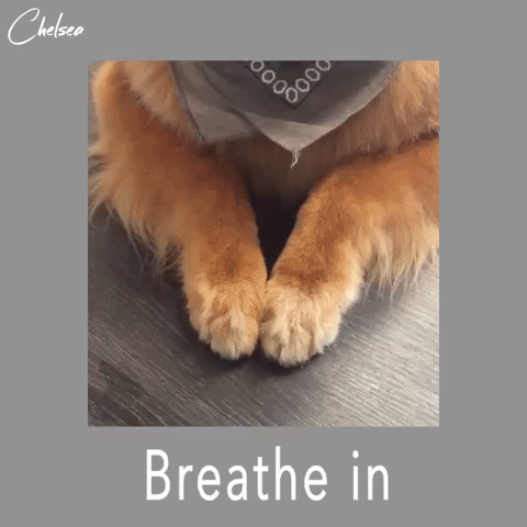 Breathing With These GIFs Will Help You Relax (14 gifs)