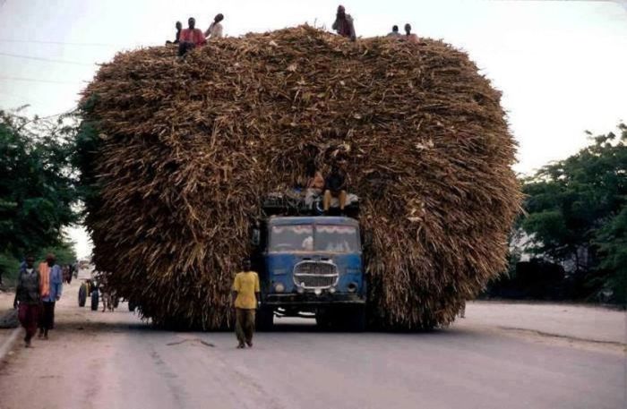 Overloaded Transport (20 pics)