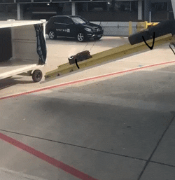 Real Life Doodles (15 gifs)
