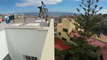 People Who Really Don’t Care About Gravity (16 gifs)