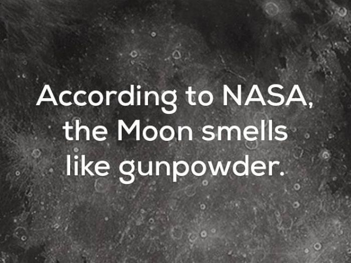 Awful Facts (22 pics)