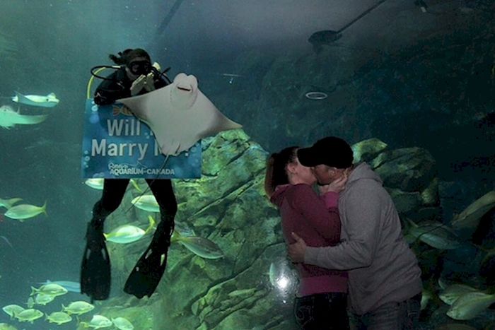 Marriage Proposal Moments (21 pics)