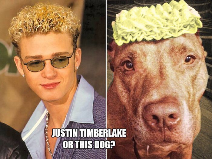 Who Wore It Better? (14 pics)