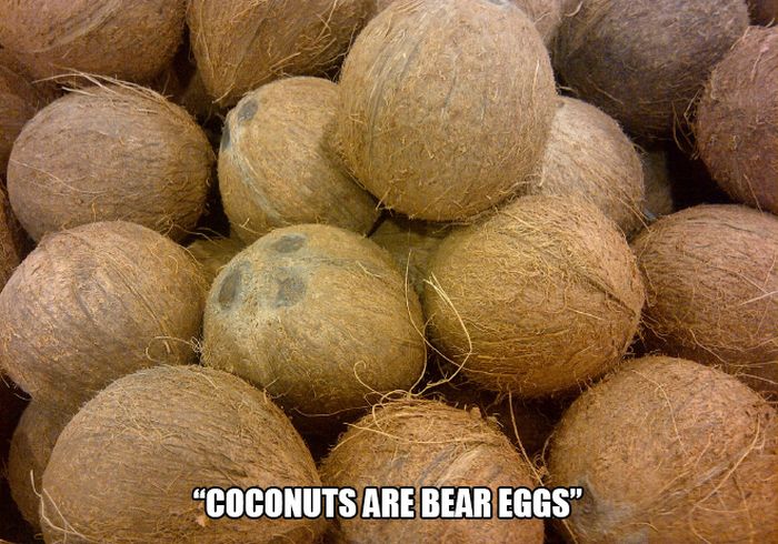 Lies That Parents Have Told Their Kids (17 pics)